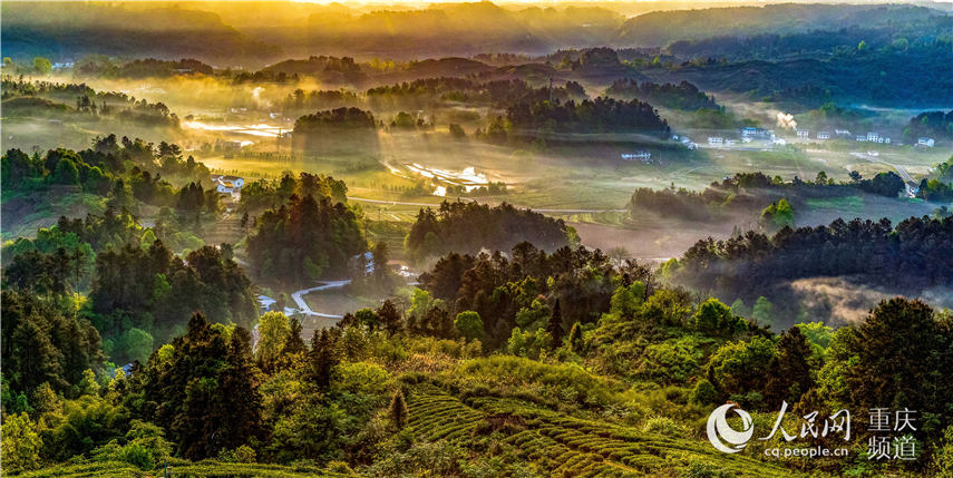 еؑcϴ^^F箋 z