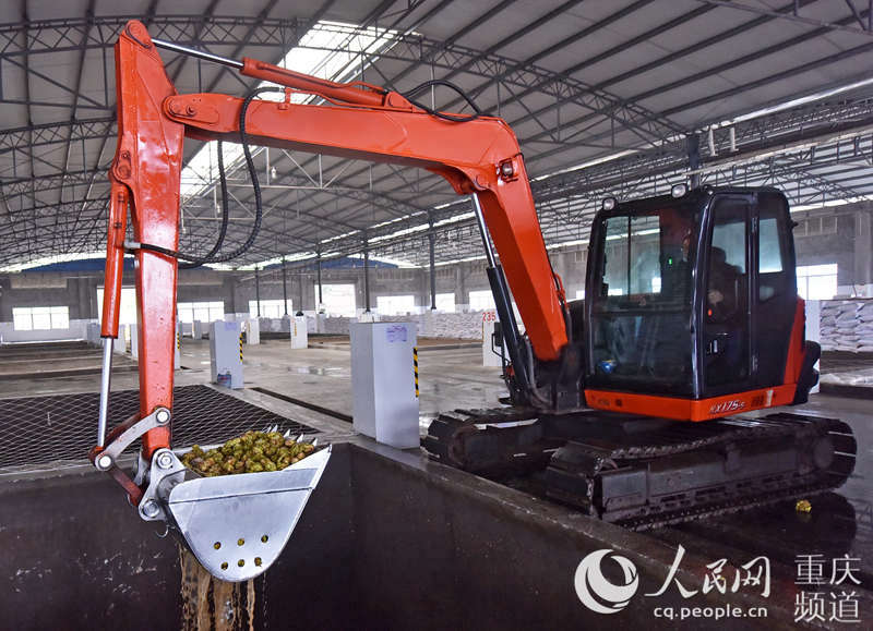 ե˼FԭϼӹSڼӹُ^־SӔz