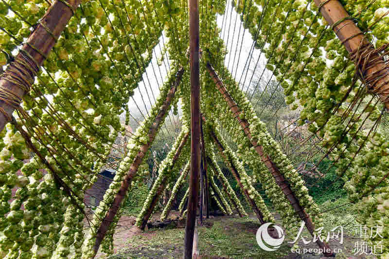 ϼLɵ^־SӔz