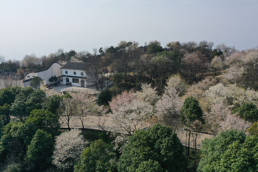 山^ʢɽfҰѻӭ`xz