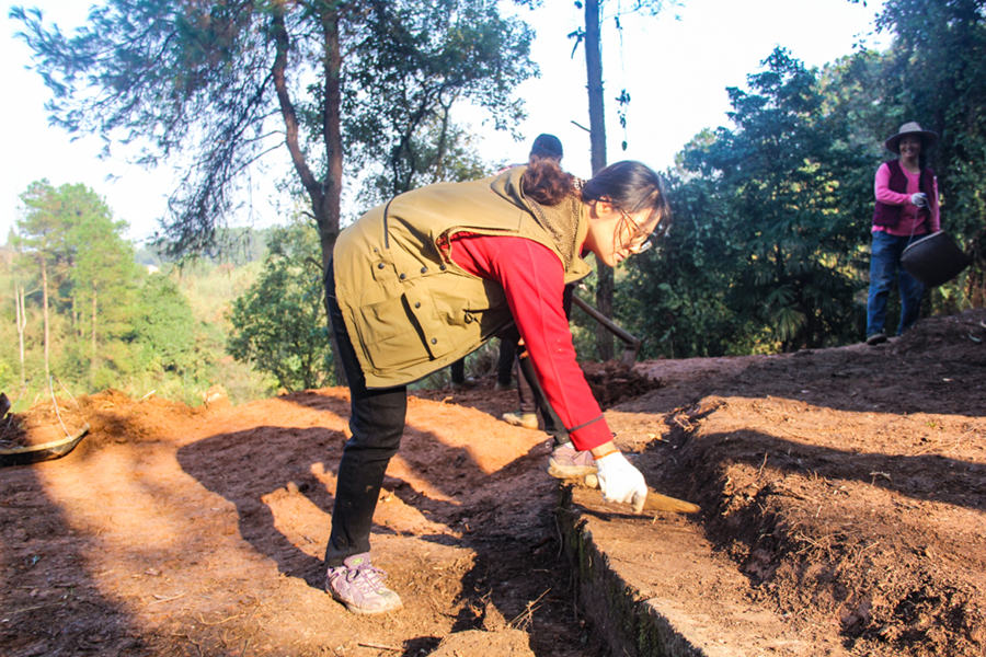 ꠆TڿŰlFؑcĻzaоԺD