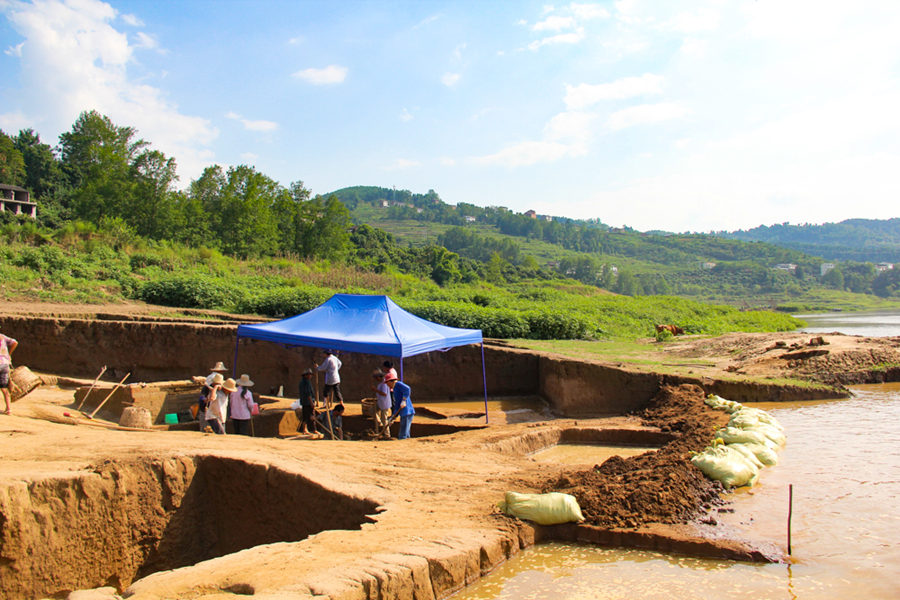 ŬF꠆TcϝqˮrgؑcĻzaоԺD