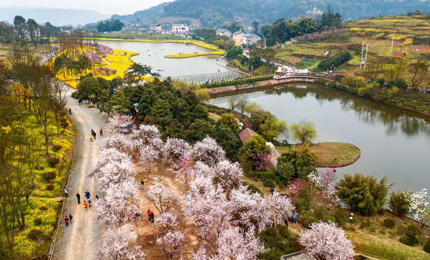 υ^lυ^lһwlչĹD