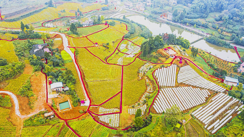 ϖ|ȪSִυ^lһwlչĹD