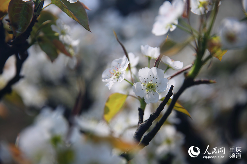 山^悷ţƺf滨`W z