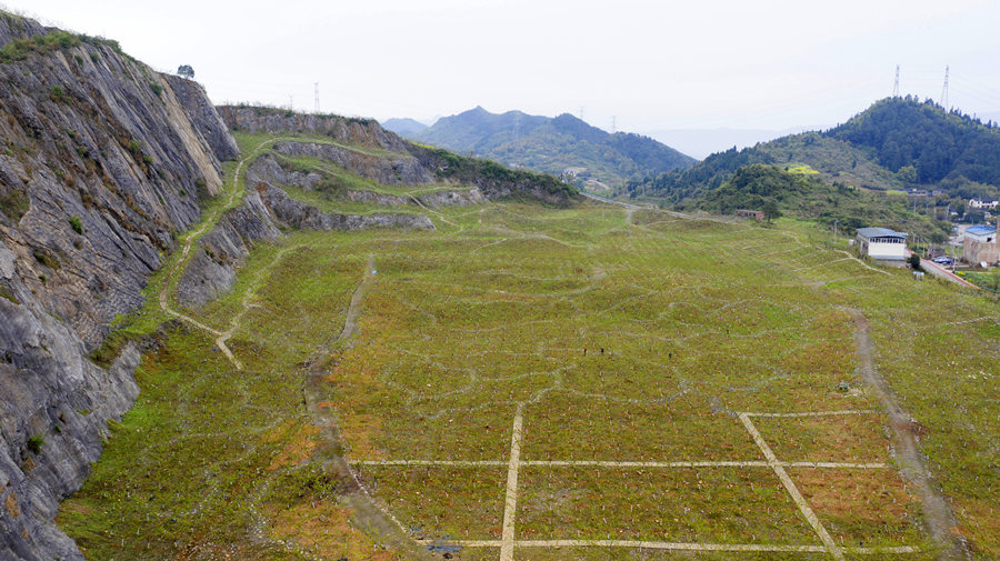 BޏͺؑcбՅ^o^AVɽ@͢z