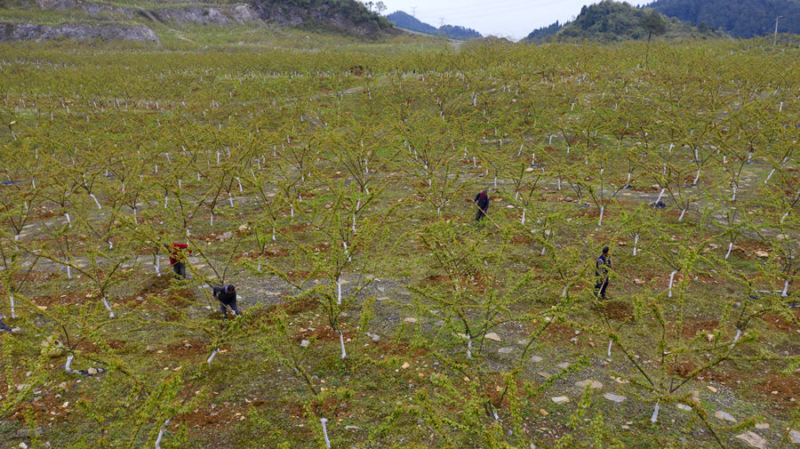 ؑcбՅ^o^AĵVɽ@͢z