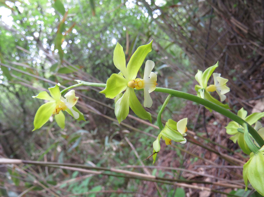 ؑclFֲNϪrmؑcꎗlXҼȻo^ֹD