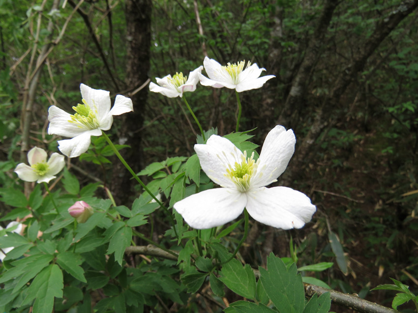 ؑclFֲNϪFɏHϪзֲؑcꎗlXҼȻo^ֹD