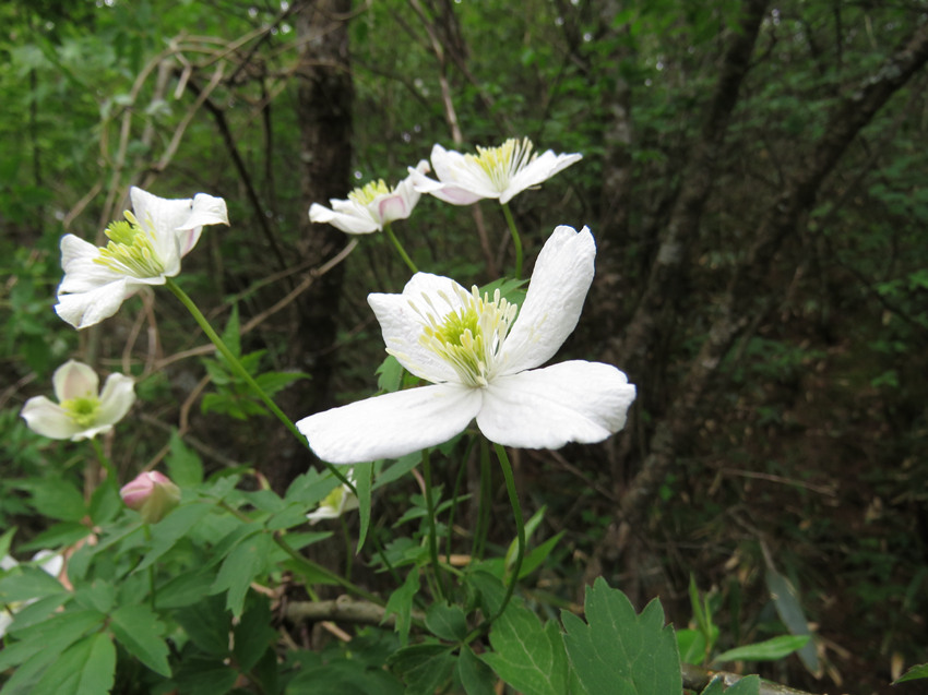 ؑclFֲNϪFɏHϪзֲؑcꎗlXҼȻo^ֹD