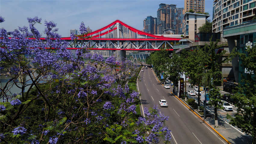 {ɫ{麺ͼtɫҎrӳȤֺz