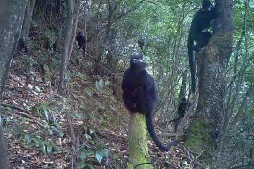 ~ؑcϴɽؑc֘IֹD