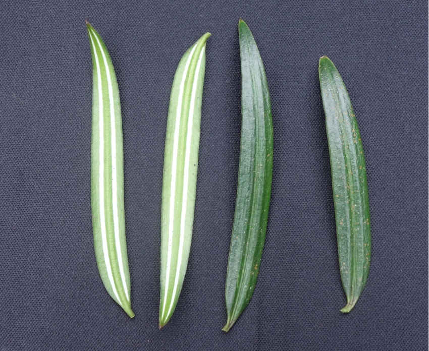 뻨ɼؑcꎗlXҼȻo^ֹD