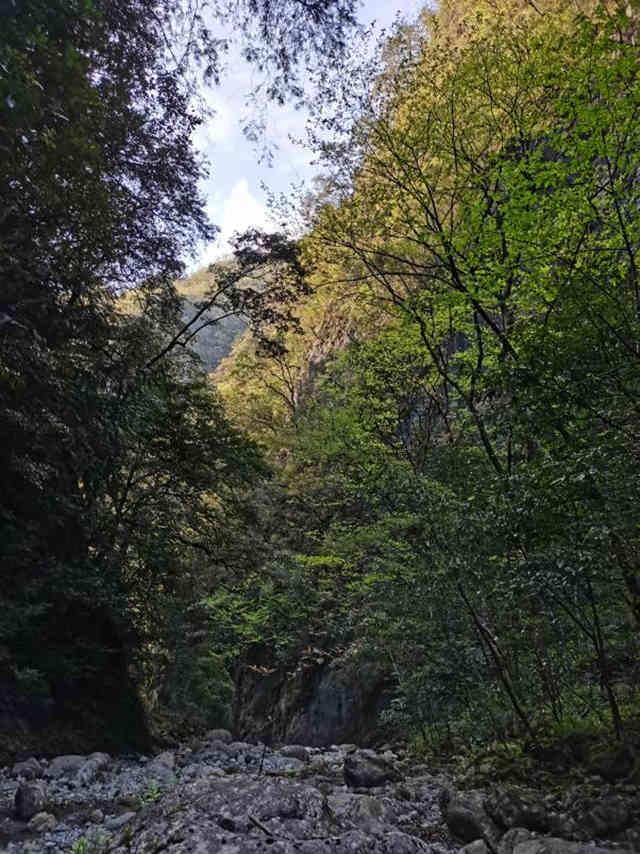 뻨ɼО{^ϡlΣֲؑcꎗlXҼȻo^ֹD