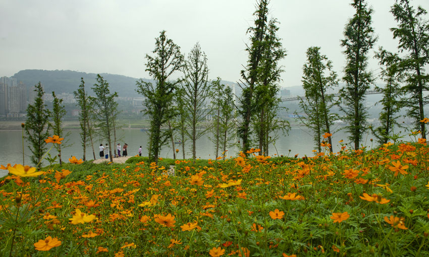 fݽ^ɻĺȽ܊z