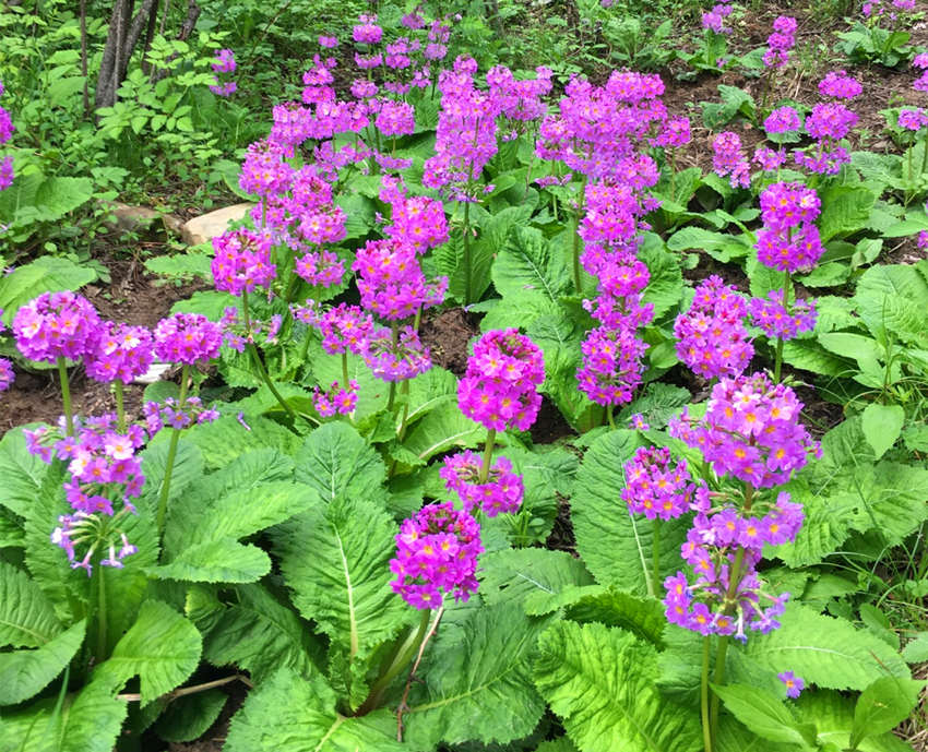 ؑcꎗlXҼȻo^lFĴ|_ư܊z