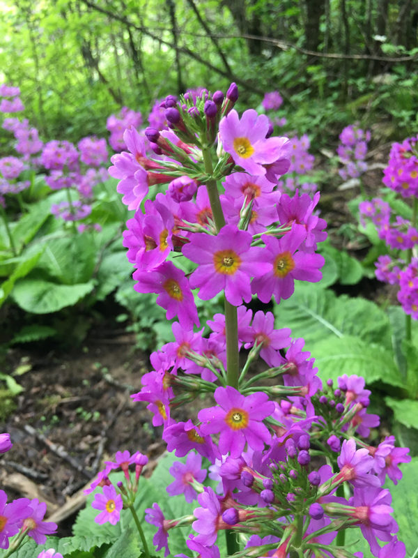 ؑcꎗlXҼȻo^lFĴ|_ư܊z