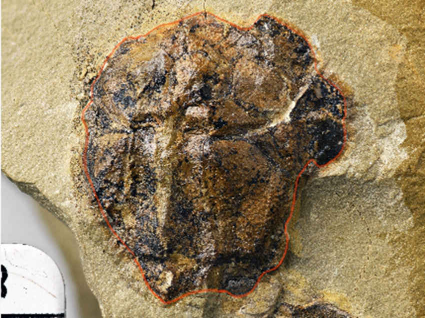 M~߅~ʯؑcҎȻYԴֹD