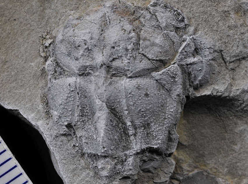 M~߅~ʯؑcҎȻYԴֹD