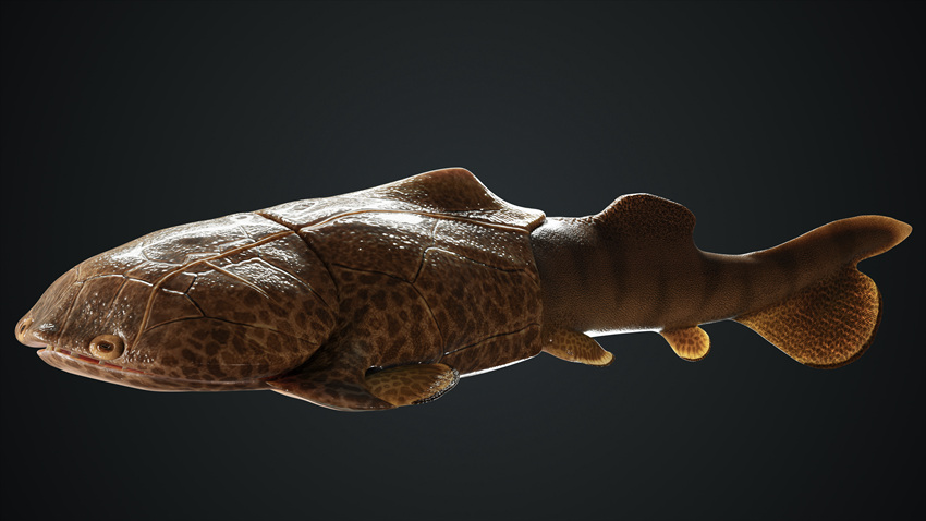 M~߅~ʯģؑcҎȻYԴֹD