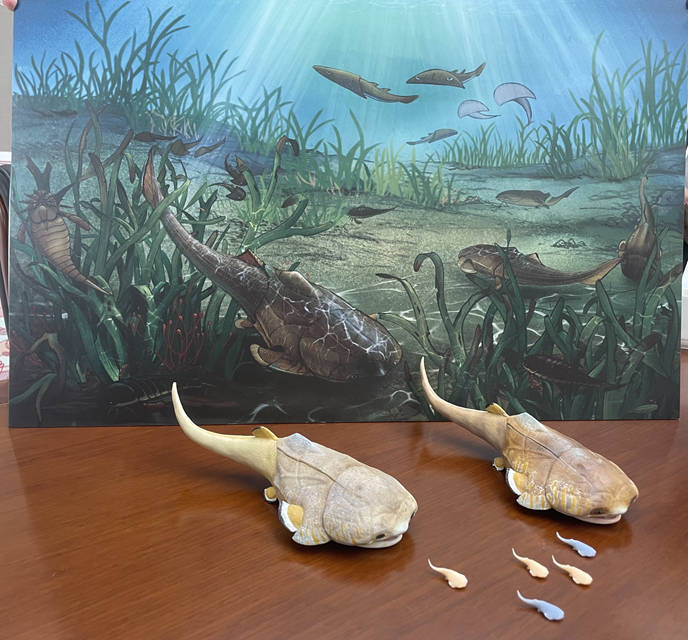 M~߅~ʯģؑcҎȻYԴֹD