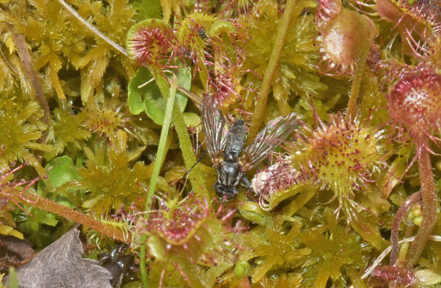 A~é˲ʳnωؑcҼȻo^̎D