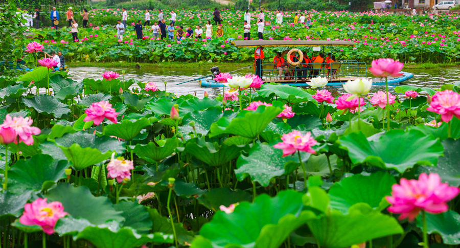 ؑc|hQ悵500஀ɻ˯ɏ`LƔz