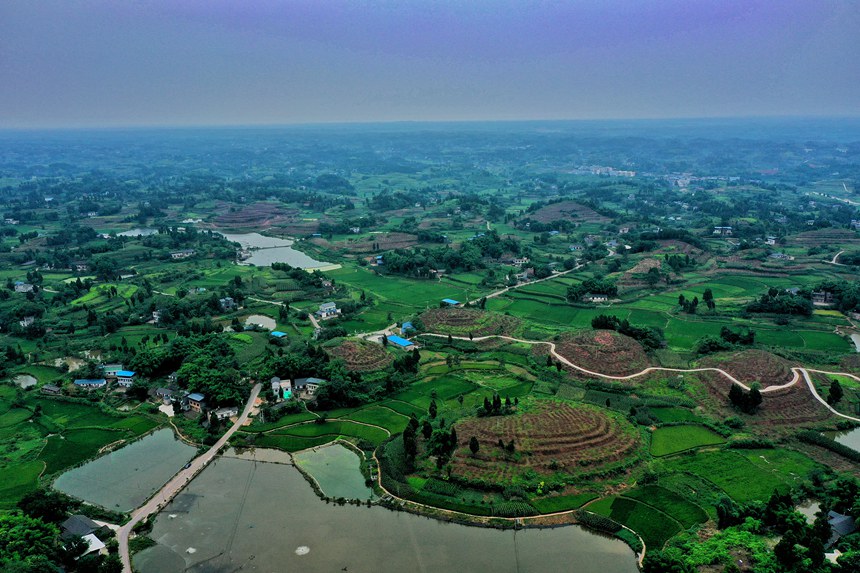 KYȫ匍Hյ؄ݸߵͲ֮aI_Δz