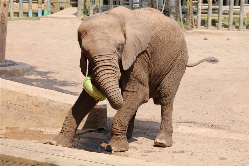 _Ӿ픵Ȼʽ_ϼgɽ z