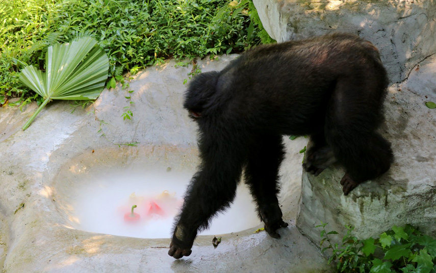 ˆT؄eʂˡˮ偡ɽ z