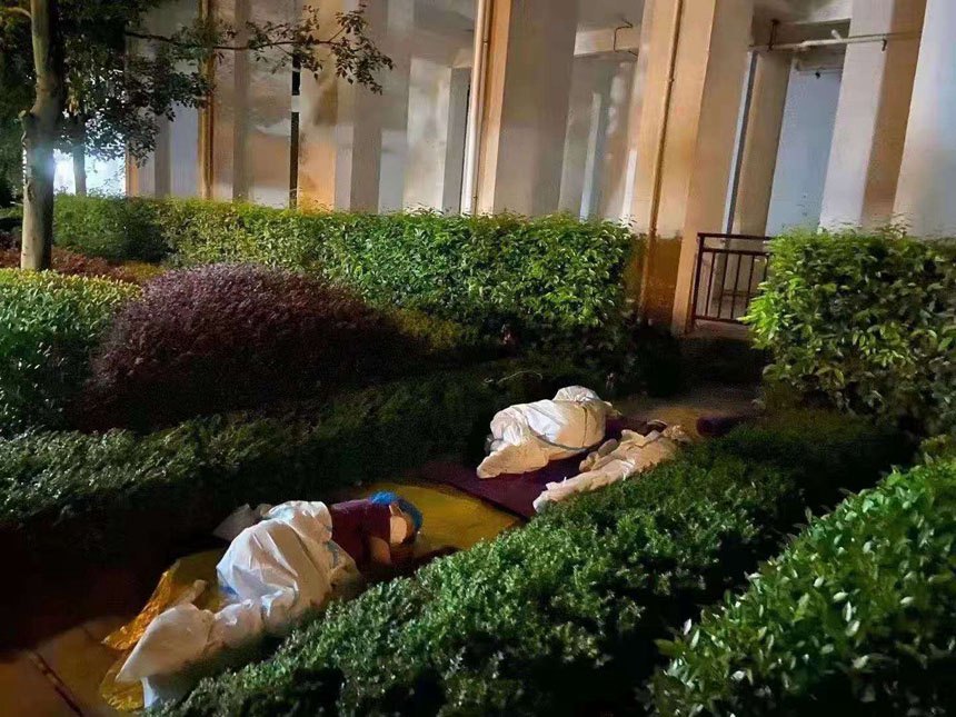 zyˆT˾ھGСϲ[һ^ίD