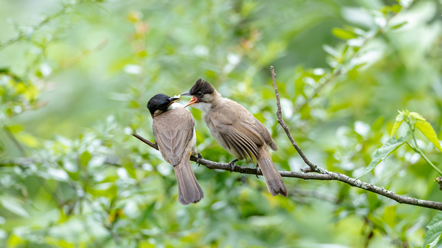 88ؑcϴ^lgĔzSlz