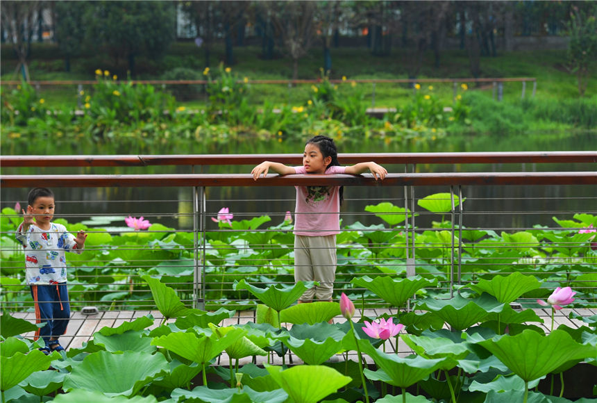 ɻ׌ͯԒ~do޵ͯȤ z