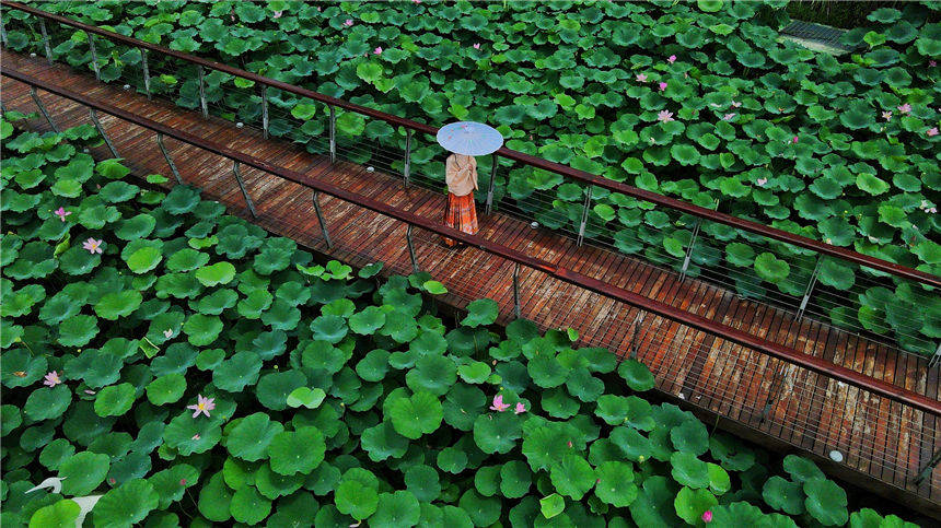 ĿиMغɻһˮī z