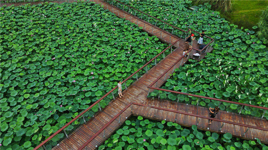 h̎ȥһӾGɫĻ̺ z