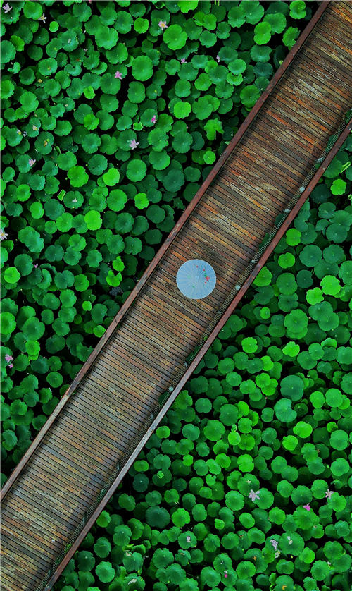 ĿиMغɻһˮī z