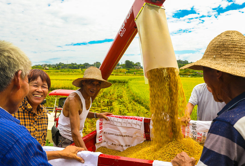 |hɳƺ״rCոˮLƔz