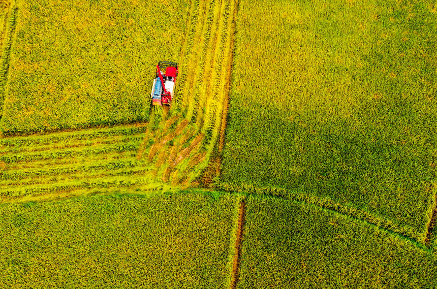 ոCډ|hɳƺ״gոˮLƔz