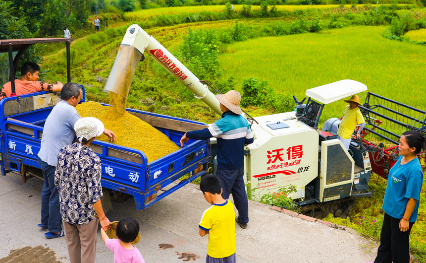 ոCډ|hLrոˮLƔz