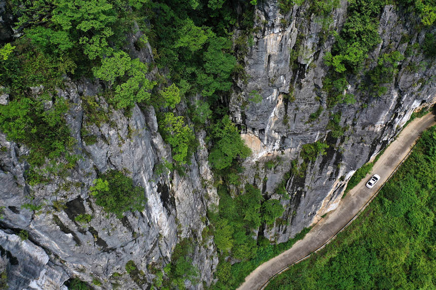 ܇ؑcǭ^pʯġڹ·z