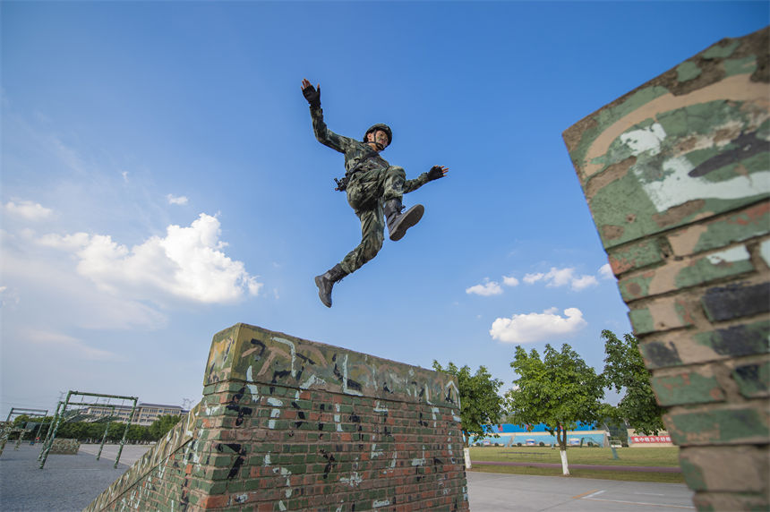 侯ؑcꠙC֧ꠂɲ꠹ٱMͨ^ϵKӖ־ z