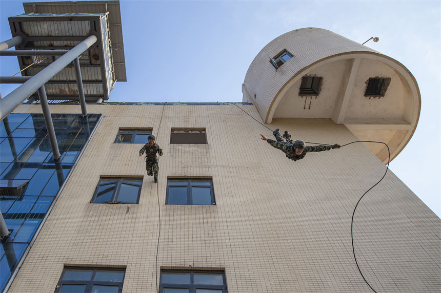 侯ؑcꠙC֧ꠂɲ꠹ٱMИǷ»Ӗ־ z