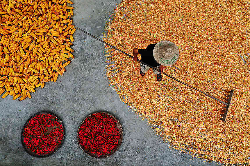 ؑcǭ^Ϫ悄ٵ^׵rz 