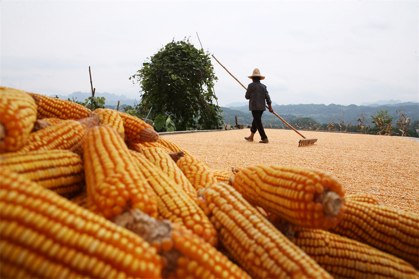 ؑcǭ^Ϫ悄ٵ^׵rz 