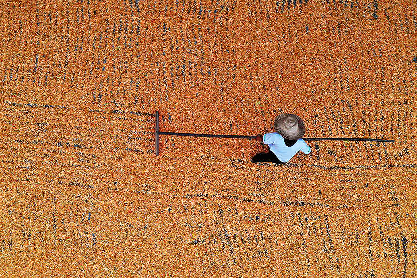 ؑcǭ^Ϫ悄ٵ^׵rz 