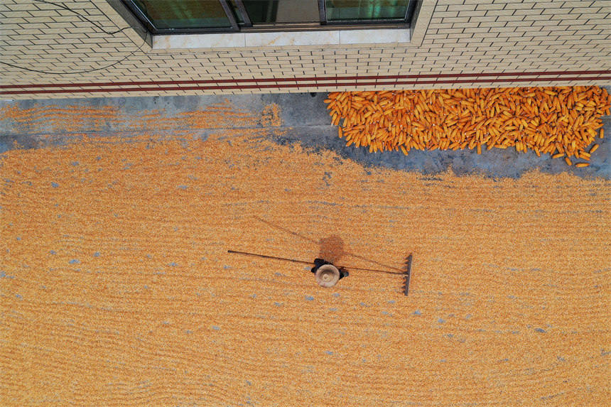 ؑcǭ^Ϫ悄ٵ^׵rz