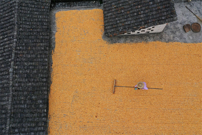 񂃓ץԼҘ피߅Ժz