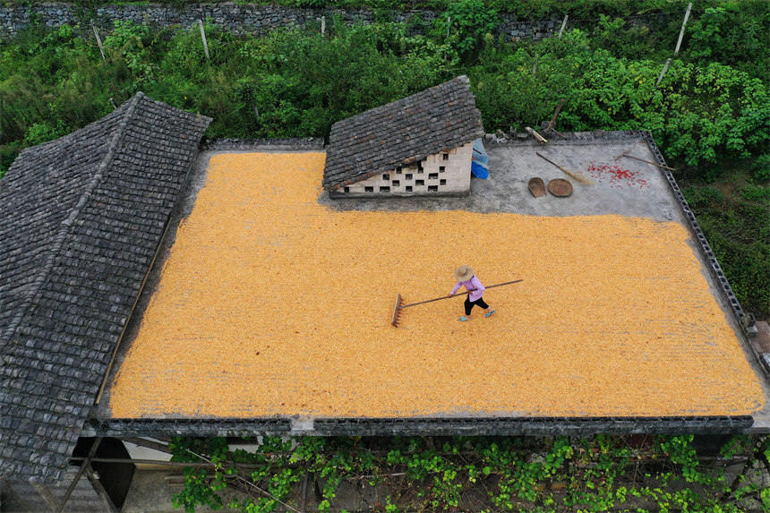 񂃓ץԼҘ피߅Ժz 