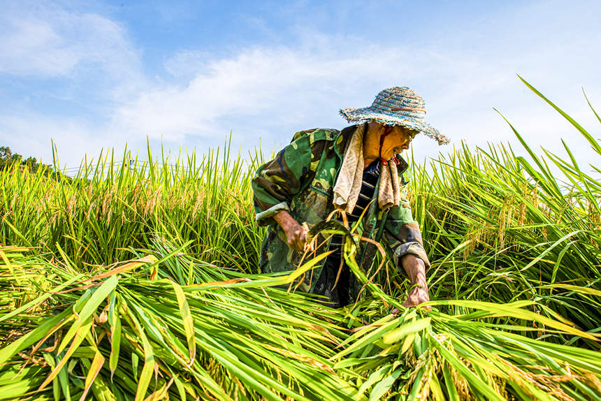 ϴ^d¡悽𻨴ˮƷNչʾʾոˮ܊z