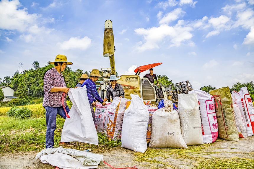 ϴ^ľ悝hδոĵb푪Ҕz